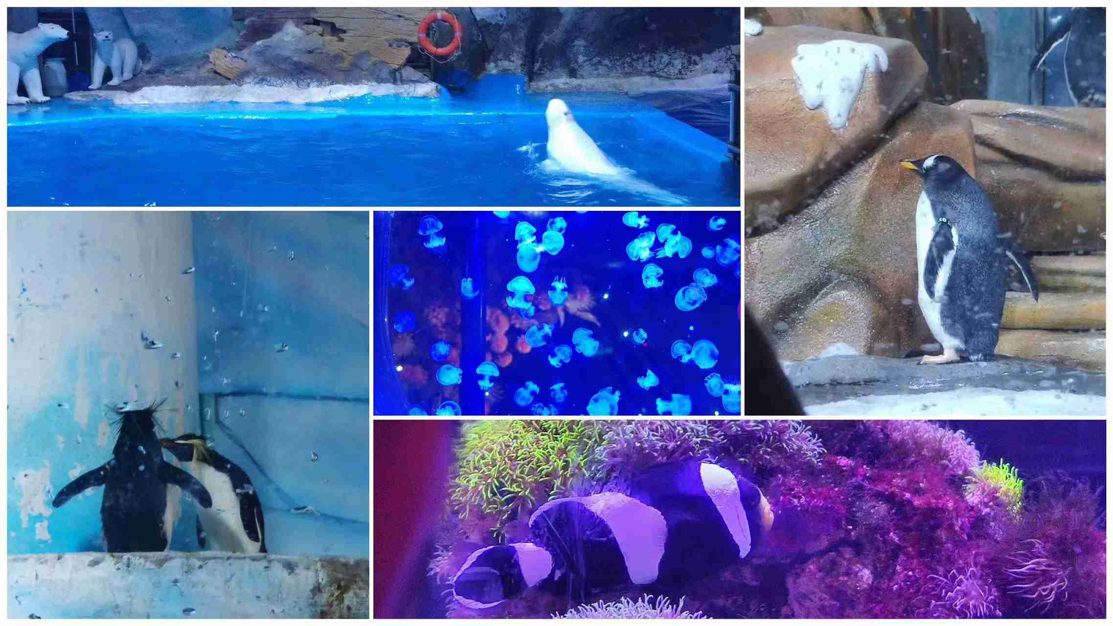 51白菜网 - 51白菜网彩金论坛