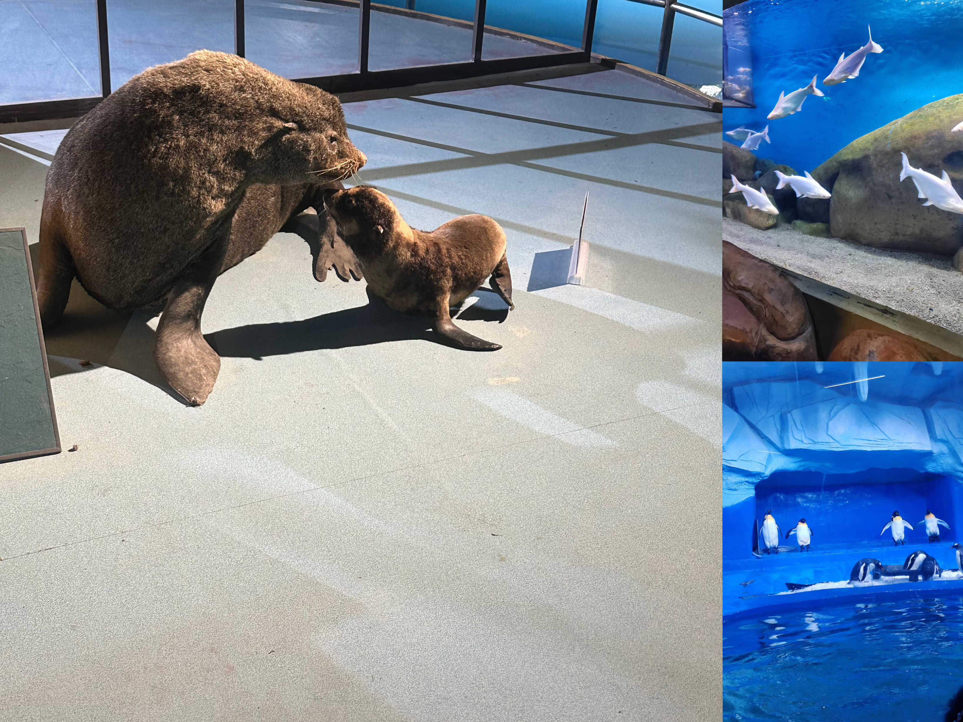 51白菜网 - 51白菜网彩金论坛